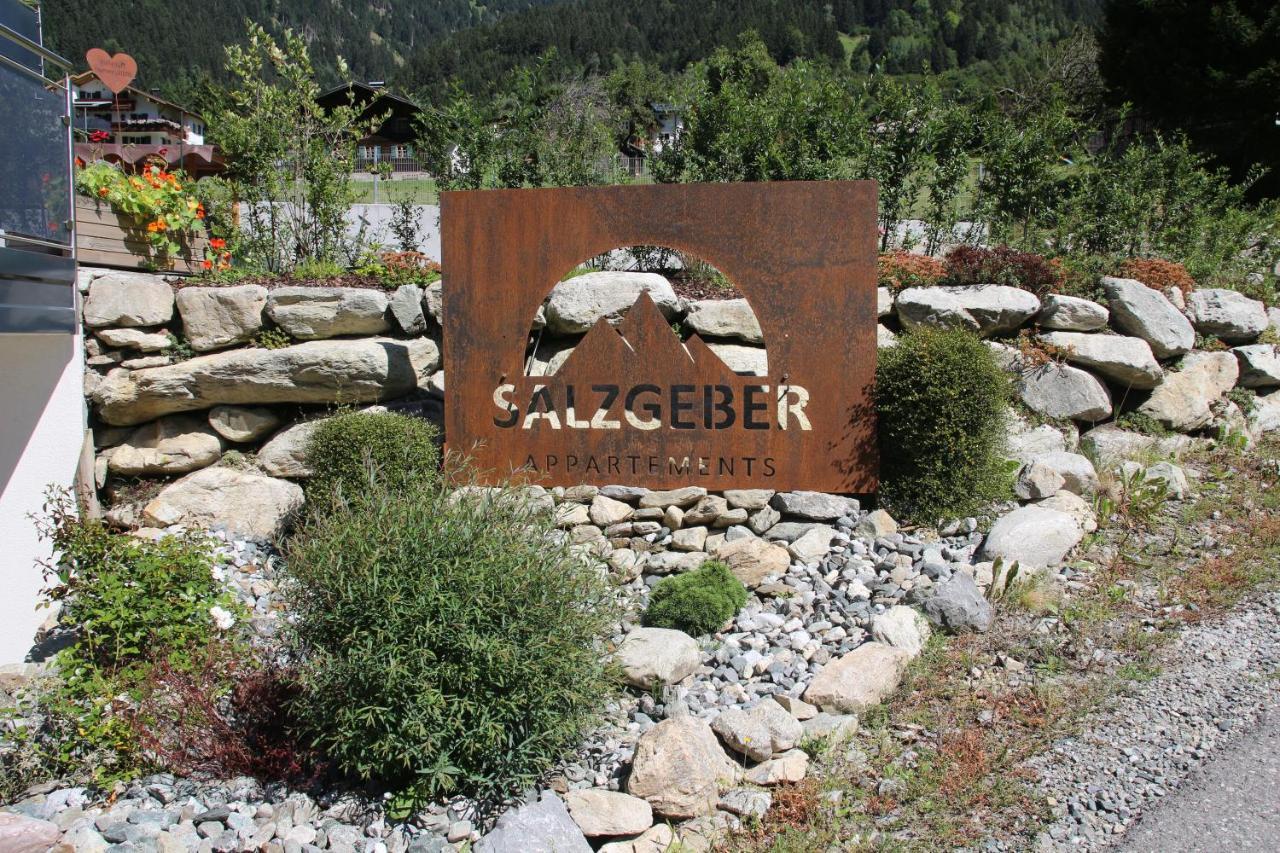 Salzgeber Appartements St. Gallenkirch Zewnętrze zdjęcie