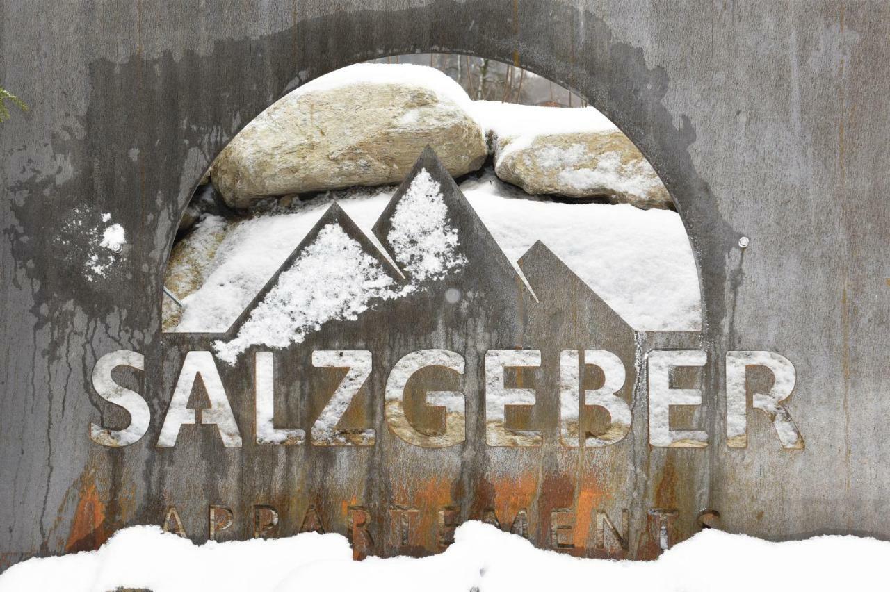 Salzgeber Appartements St. Gallenkirch Zewnętrze zdjęcie
